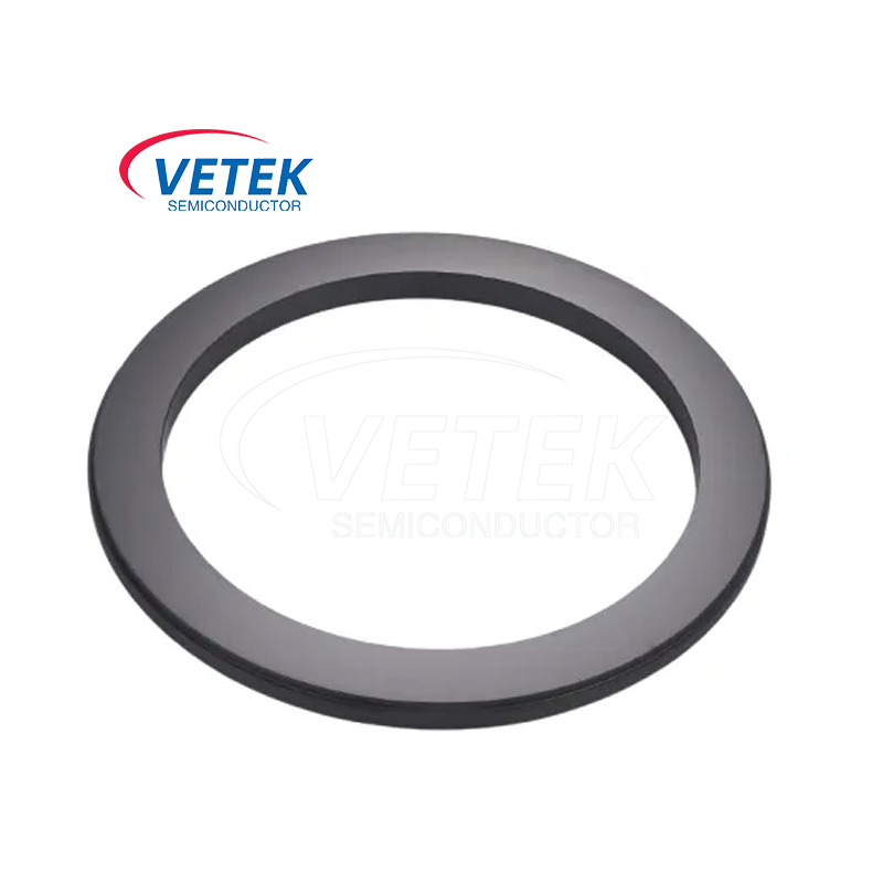 Silicon Carbide Seal Ring